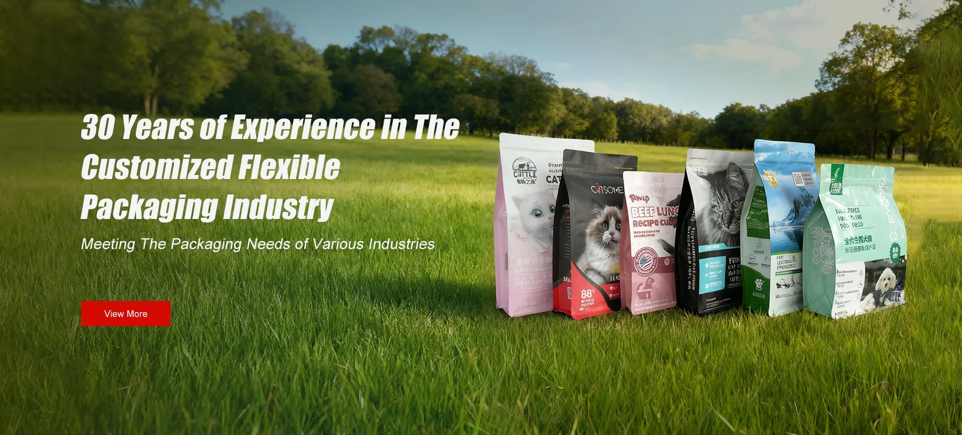 30 taong karanasan sa customized na industriya ng flexible packaging